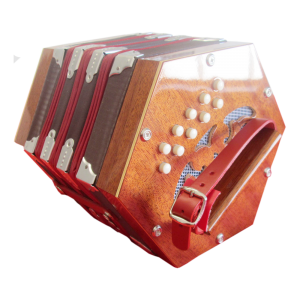 Read more about the article Concertina Diatonica Mod.  R/4-2