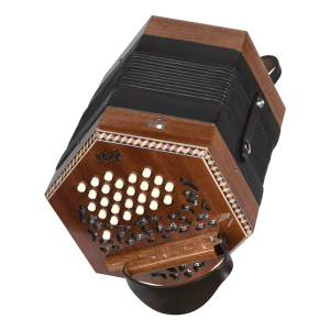 Read more about the article Hayden Duet 46 Concertina